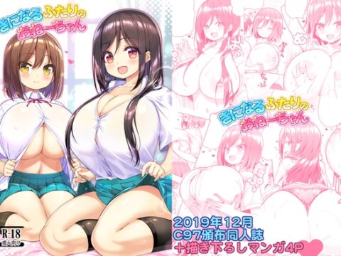 きになるふたりのおねーちゃん [オセロアイス] | DLsite