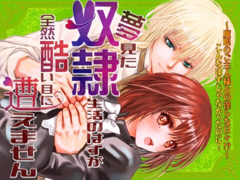 夢見た奴○生活のはずが全然酷い目に遭えません [青藍ロマンス] | DLsiteがるまに