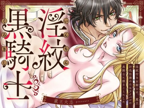 淫紋付き女騎士は、魔王討伐任務のためライバルの黒騎士に頼ることにした [蔵王組] | DLsiteがるまに
