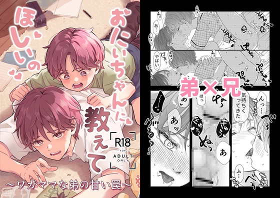 おにいちゃんに教えてほしいの～ワガママな弟の甘い罠～ [あいこす] | DLsiteがるまに 1