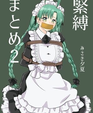緊縛まとめ2 [絶対天晴] | DLsite