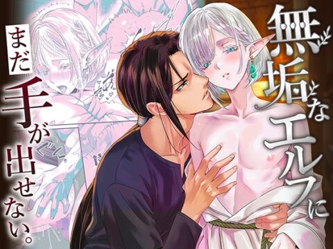 【韓国語版】無垢なエルフに、まだ手が出せない。 [みんなで翻訳] | DLsiteがるまに