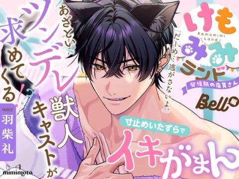 【ねこみみ】「だーめ…逃がさないよ。」あざといツンデレ獣人キャストが求めてくる!?寸止めいたずらでイキがまん〈けもみみランド〜発情期の店員さん〜/BELL〉 [mimimoto] | DLsiteがるまに