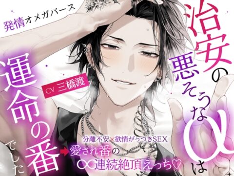 「※愛してる。お前が俺のツガイで、俺の全部だ。」治安の悪そうなαは運命の番でした〜分離不安×欲情がっつきSEX⇒愛され番の∞連続絶頂えっち♡ #発情オメガバース [エーテル@オメガバース専門サークル] | DLsiteがるまに