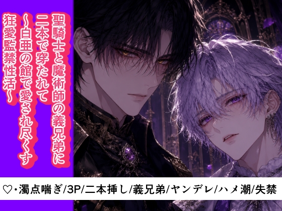 【3P・二本挿し】聖騎士と魔術師の義兄弟に二本で穿たれて～白亜の館で愛され尽くす狂愛監禁性活 [セキラボ] | DLsiteがるまに 1