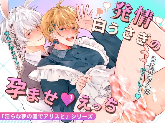 【韓国語版】発情白うさぎの孕ませえっち「淫らな夢の国でアリスと」シリーズ【白うさぎ編】 [みんなで翻訳] | DLsiteがるまに 1