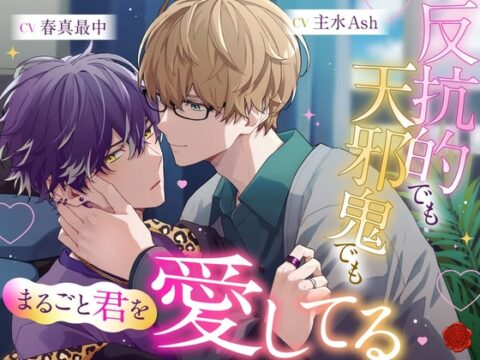 反抗的でも天邪鬼でもまるごと君を愛してる [ヴァント-wand-] | DLsiteがるまに