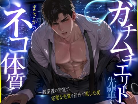 【BL職場逆転】ガチムチエリート先輩がまさかのネコ体質──残業後の密室で、完璧な先輩を初めて乱した夜 [堕天淫書館] | DLsiteがるまに