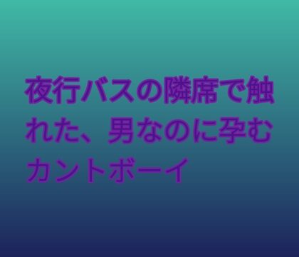 夜行バスの隣席で触れた、男なのに孕むカントボーイ [凜音] | DLsiteがるまに