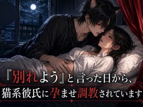 『別れよう』と言った日から、猫系彼氏に孕ませ調教されています [夜果堂書房] | DLsiteがるまに