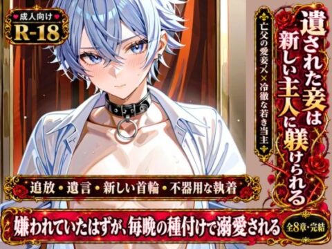 妾だった僕を遺言で相続した嫡男が「気持ち悪い」って言いながら毎晩子宮に中出ししてくる♡ 朝は喉奥ごっくんフェラで起こして夜は種付けプレスで正妻にされました [境界熱] | DLsiteがるまに