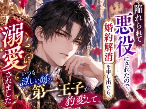 陥れられて悪役にされたので、婚約解消を申し出たら、いつも涼しい顔の第一王子が豹変して溺愛されました [純愛の書庫] | DLsiteがるまに