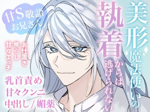 美形魔法使いの執着からは逃げられない [さささ] | DLsiteがるまに