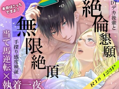 当て馬逆転×執着一夜 [こつこつ] | DLsiteがるまに