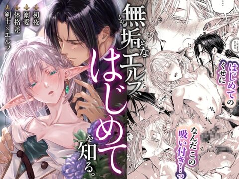 無垢なエルフ、はじめてを知る。 [旭てとり] | DLsiteがるまに