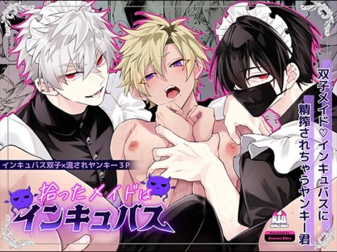 拾ったメイドはインキュバス [HUND01] | DLsiteがるまに