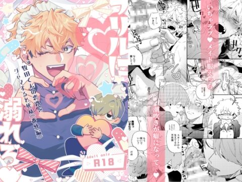 フリルに溺れろ♡ [腎臓ミラーボール] | DLsiteがるまに