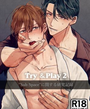 Try&Play2 “Sub Space”に関する研究記録 [cRocus] | DLsiteがるまに
