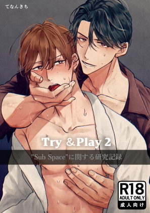 Try&Play2 “Sub Space”に関する研究記録 [cRocus] | DLsiteがるまに 1