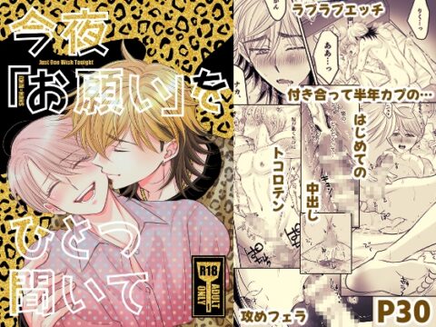 今夜「お願い」をひとつ聞いて [氷結24時] | DLsiteがるまに