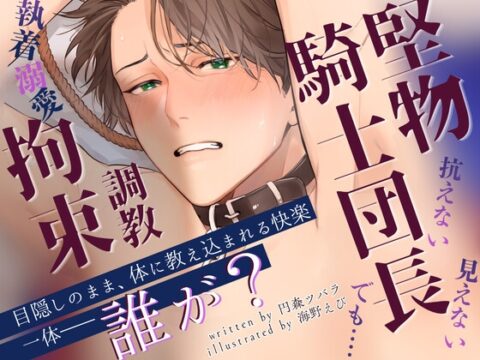 【ノベル】騎士団長をメス堕ちさせたのは誰か(単話版1) [ノワールパフェ文庫] | DLsiteがるまに