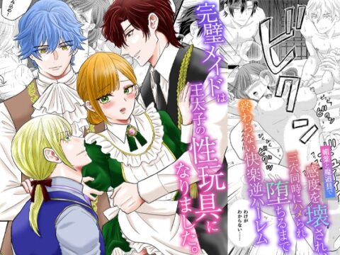 完璧メイドは王太子の性玩具になりました。媚薬と魔道具で感度を壊され、三穴同時にハメられ堕ちるまで終わらない快楽逆ハーレム [RHplus] | DLsiteがるまに