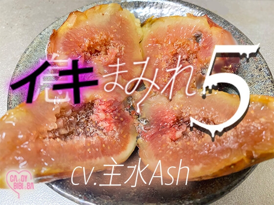 『イキまみれ』5【特典付き】唇からこぼれる吐息舐め息吸い息噛み息ため息ささやき……イキまみれ―――♡♡ワントラックでおくる耳元にふり注ぐイキ(息)の波 ♡♡ [CAnDY BIBInBA] | DLsiteがるまに 1