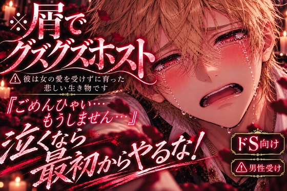 ※屑でグズグズホスト⚠︎彼は女の愛を受けずに育った悲しい生き物です⚠︎男性受け※逆レ 『ごめんひゃい…もうしません…』泣くなら最初からやるな！穴破壊《ドS向け》 [sadistic|Mˈvaɪələns,] | DLsiteがるまに 1
