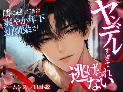 隣に越してきた爽やか年下幼馴染がヤンデレすぎて逃げられない〜甘い言葉に絡めとられて、気付けば身も心も支配されていました〜 [宵街ハル] | DLsiteがるまに