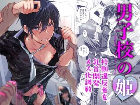 男子校の姫 校則違反者を乳首開発メス化調教 [BB] | DLsiteがるまに