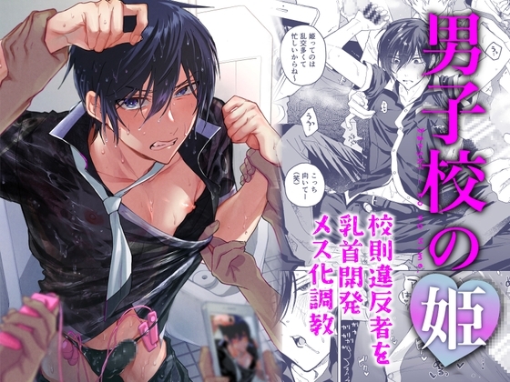 男子校の姫 校則違反者を乳首開発メス化調教 [BB] | DLsiteがるまに 1
