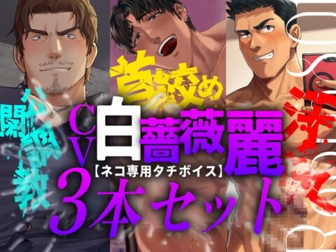 【ネコ専用タチボイス】CV:白薔薇麗3本セット [Room801] | DLsiteがるまに