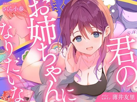 【CV.薄井友里】君のお姉ちゃんになりたいな【恋する密着青春ドラマ】 [音戯編集部] | DLsite