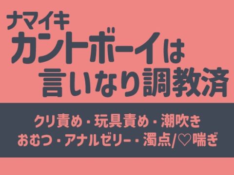 生意気カントボーイはイケメン叔父の言いなり調教済 [敗北] | DLsiteがるまに