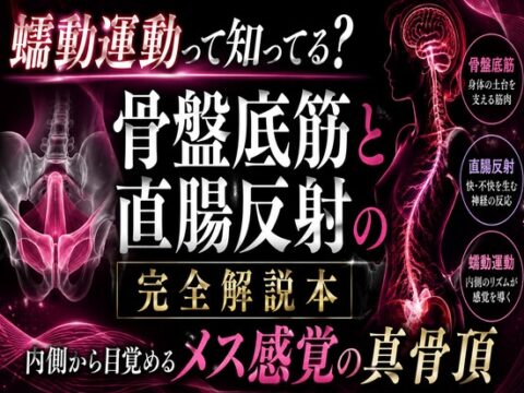 ♡メスイキが起きる瞬間♡に発動する エネマ・アネロスがアナルの中で 勝手に動き出す蠕動運動の起こし方 ♡徹底解説♡ [メスイキ♡ドライオーガズム♡研究所] | DLsite