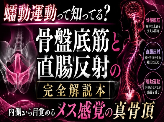 ♡メスイキが起きる瞬間♡に発動する エネマ・アネロスがアナルの中で 勝手に動き出す蠕動運動の起こし方 ♡徹底解説♡ [メスイキ♡ドライオーガズム♡研究所] | DLsite 1