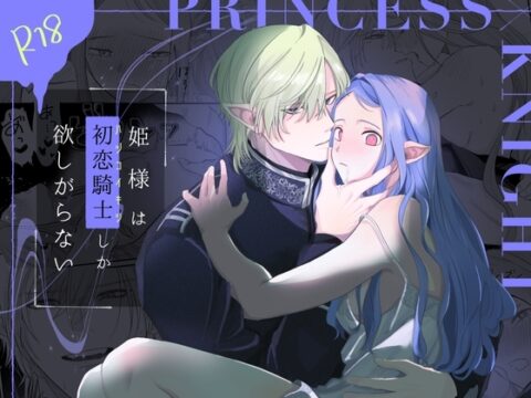 【繁体中文版】姫様は初恋騎士しか欲しがらない [みんなで翻訳] | DLsiteがるまに