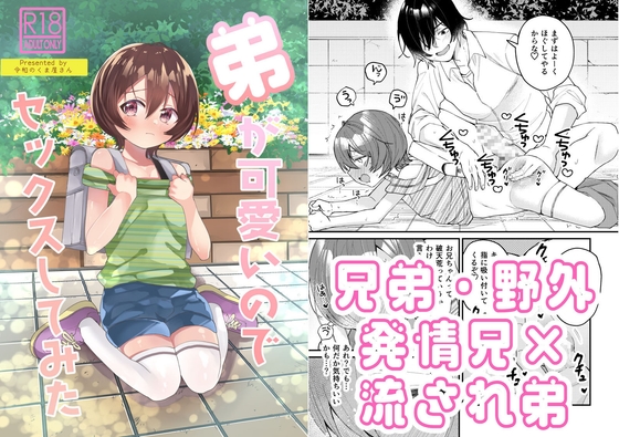 弟が可愛いのでセックスしてみた [令和のくま屋さん] | DLsiteがるまに 1