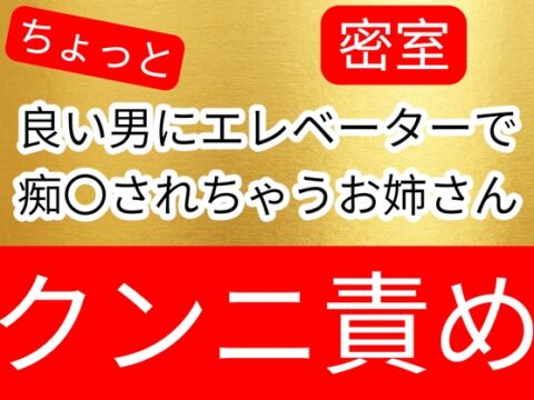 待ち伏せされてエレベーター内で痴〇されてクンニ逝きしてしまうお姉さん [壊れた地図] | DLsiteがるまに