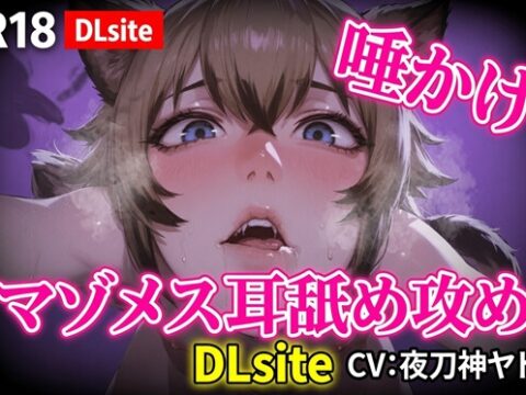 【Ku100】マゾメス向け唾かけ&耳舐め攻め [夜祷ノ聲] | DLsiteがるまに