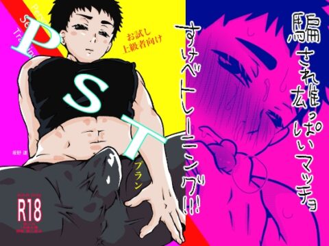 お試し上級者向けPSTプラン [みちしるべ] | DLsiteがるまに